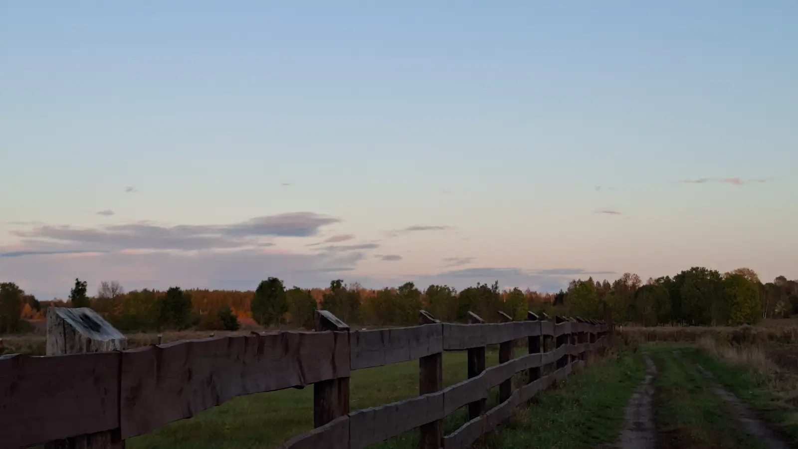 Zdjęcie o orientacji poziomej ukazuje malowniczy wiejski krajobraz o zachodzie słońca. Pierwszy plan zajmuje solidne, drewniane ogrodzenie z poziomych desek, które biegnie ukośnie wzdłuż piaszczystej ścieżki po prawej stronie kadru. W tle widać linię lasu skąpaną w ciepłym świetle późnego popołudnia, przechodzącą w zielone i jesienne odcienie drzew. Niebo wypełnia niemal dwie trzecie kompozycji, prezentując delikatne przejścia kolorystyczne od błękitu do różowych refleksów chmur. Całość tworzy spokojną atmosferę natury, idealną do zastosowania w projektach o tematyce rolniczej, podróżniczej lub ekologicznej.