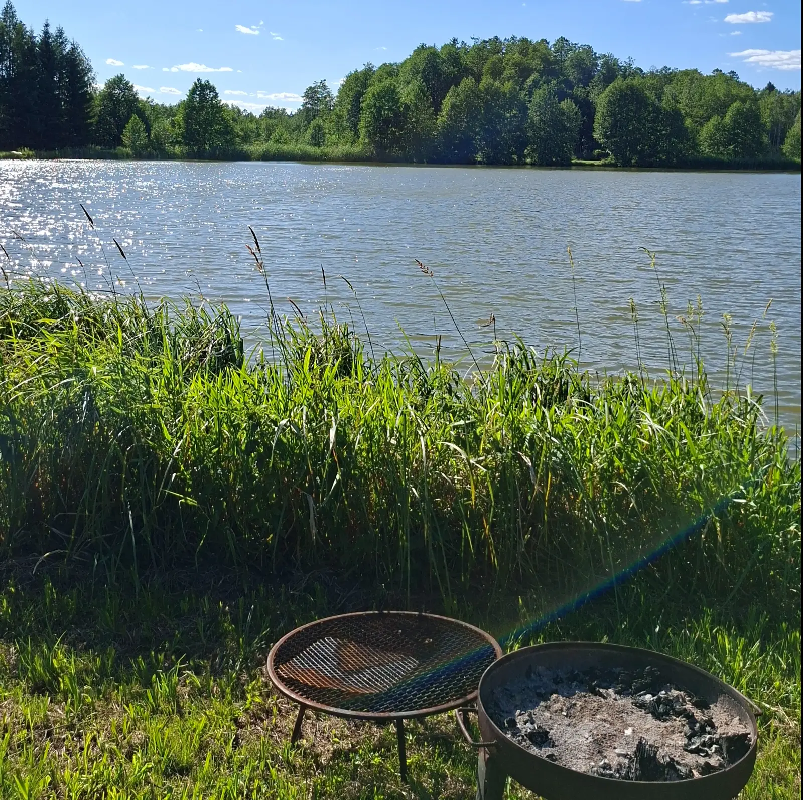 Zdjęcie wykonane w orientacji pionowej (proporcje 1:1) przedstawia spokojne jezioro w słoneczny, letni dzień. Na pierwszym planie, na trawiastym brzegu, widoczne są dwa okrągłe grille ogrodowe, z których jeden wypełniony jest popiołem z niedawnego ogniska. Wysoka, soczyście zielona trawa i polne rośliny przesłaniają część widoku na wodę, tworząc naturalną ramę dla kompozycji. Tafla jeziora lekko lśni w promieniach słońca, a w tle rozciąga się gęsty, ciemnozielony las iglasto-liściasty na tle błękitnego nieba. Całość tworzy sielankowy krajobraz idealny na letni odpoczynek na łonie natury.